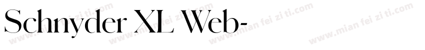 Schnyder XL Web字体转换